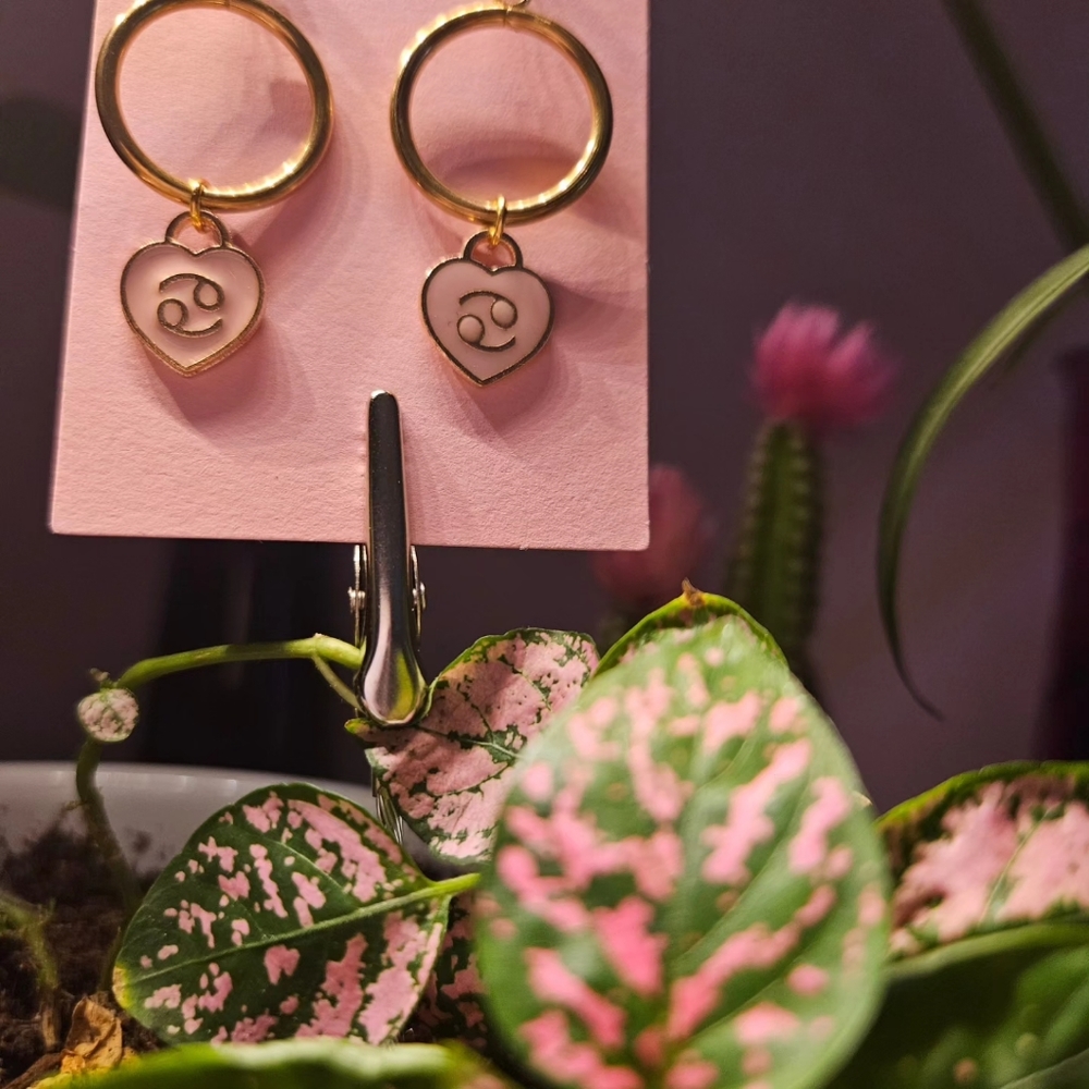 Cancer ♋️ zodiac sign pink heart hoop earrings